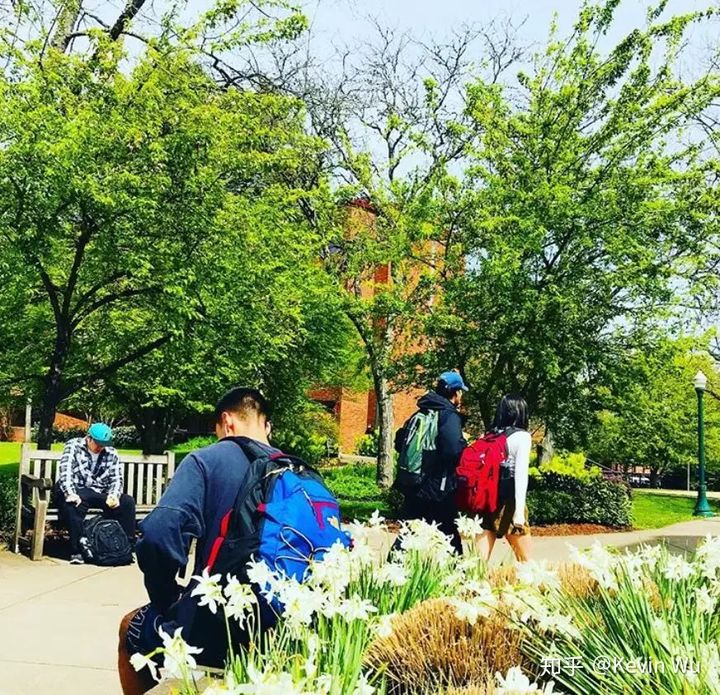 美国俄勒冈大学相当国内哪所大学,俄勒冈大学在美国学校排名