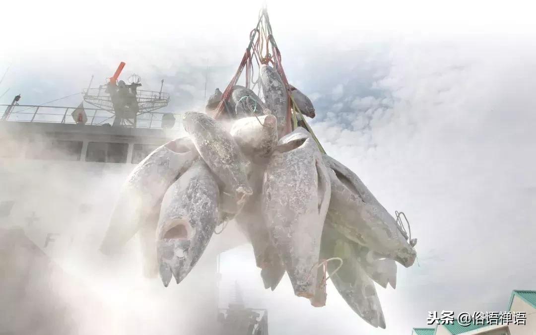 就想吃个海鲜，怎么还分冷冻、急冻、生冻、熟冻、船冻、岸冻？！