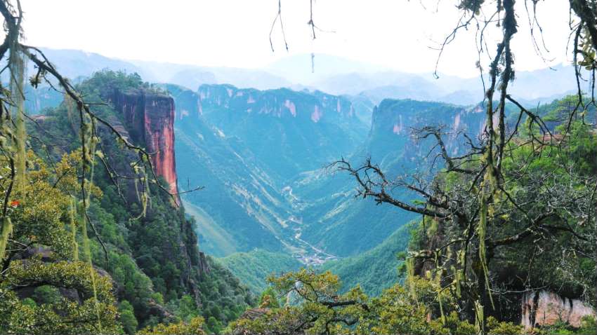最美的季节遇见最美的你 (最美的季节遇见最美的你散文)