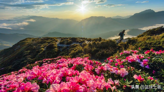 宝岛台湾的什么地方也很有名,宝岛台湾出名的地方