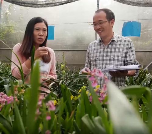 农村乡下种植的兰花,农业种植致富项目兰花