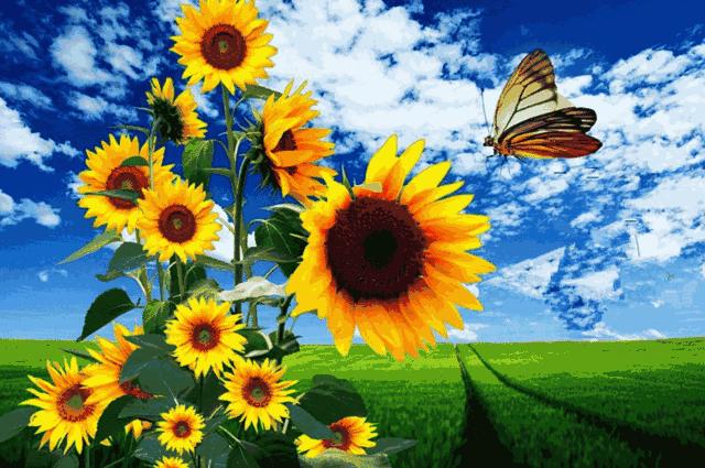 保持善良上天自会庇佑,保持厚道善良