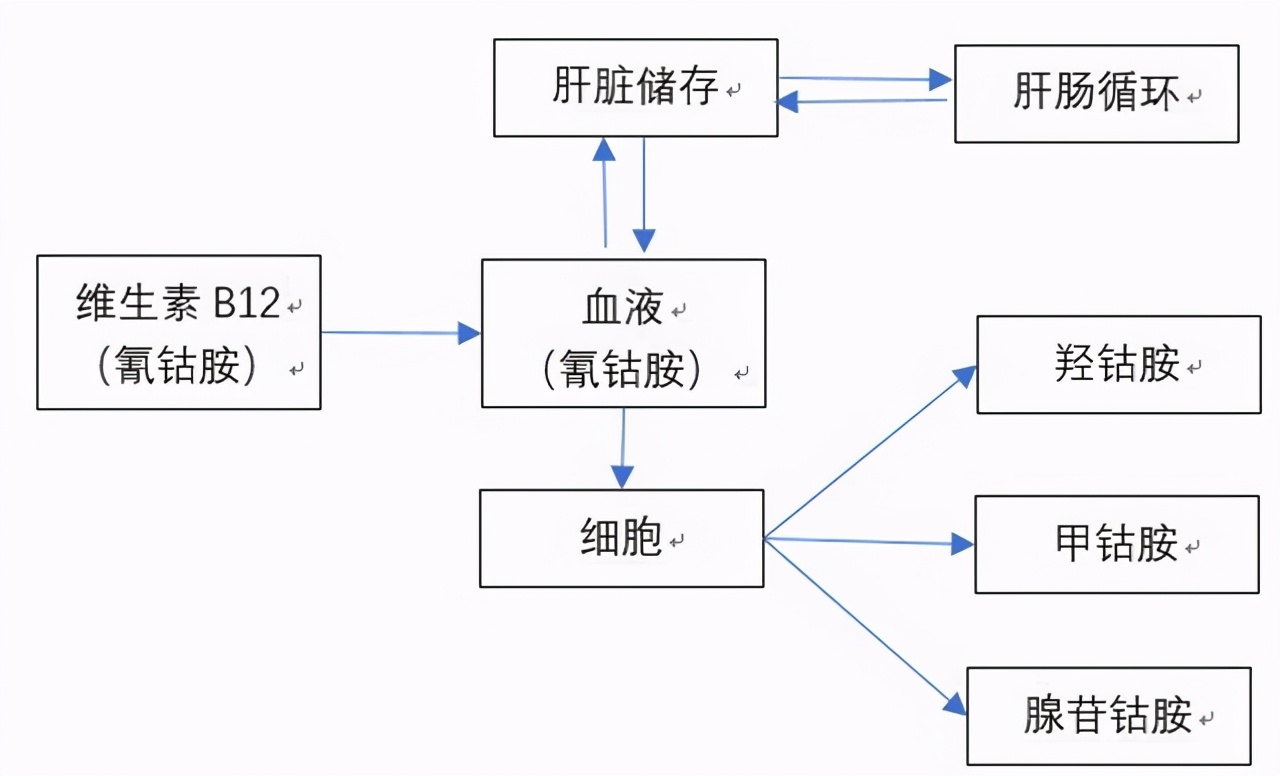 大脑中枢神经受损吃甲钴胺可以吗,牙神经受损疼痛吃甲钴胺有用吗