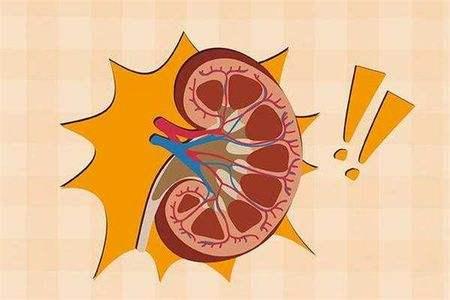 什么是尿毒症早期有哪些症状,尿毒症有哪些症状如何预防尿毒症