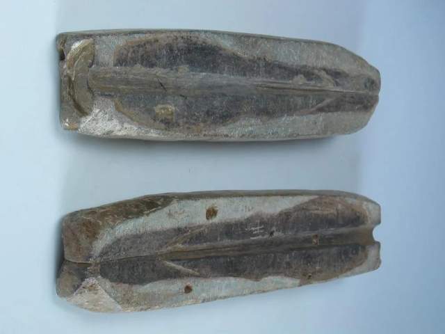 甯︿綘璁よ瘑杈藉畞,甯︿綘璁よ瘑娌堥槼