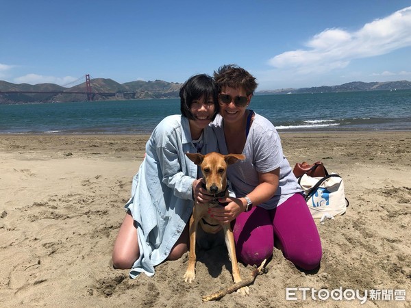 只想养幼犬阿拉斯加,只想养比熊犬