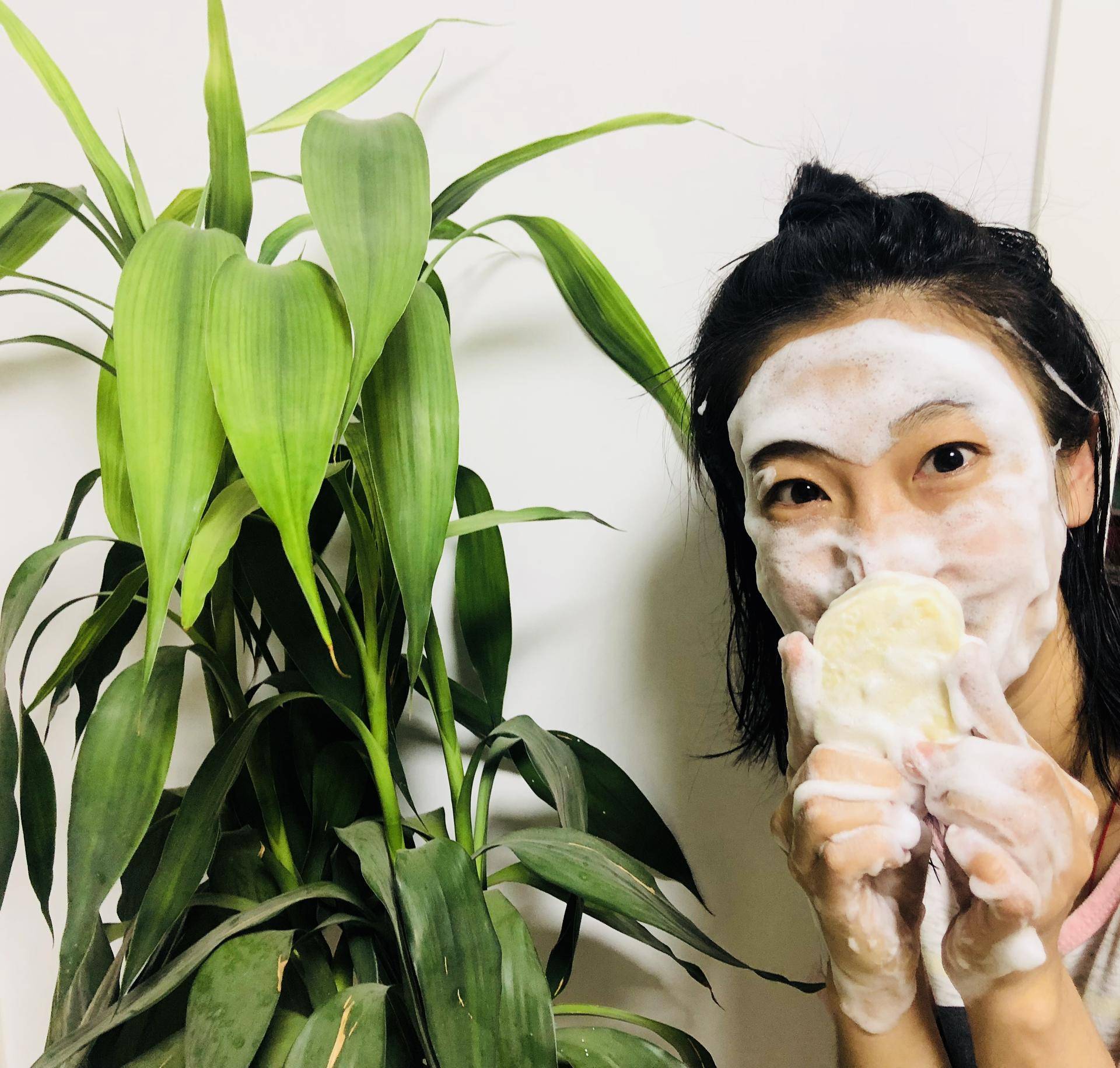 西班牙莱蒂娅护肤品,西班牙莱蒂娅古树橄榄油面膜