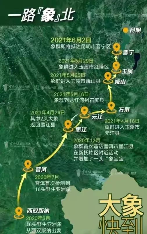 象群北迁日本报道,象群北迁降雨线北移