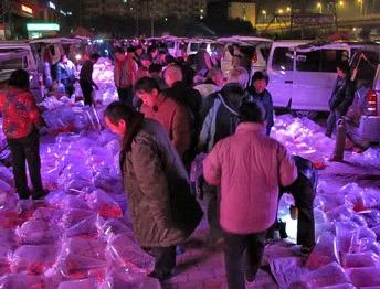 水族行业为什么这么难做,最近水族发展趋势