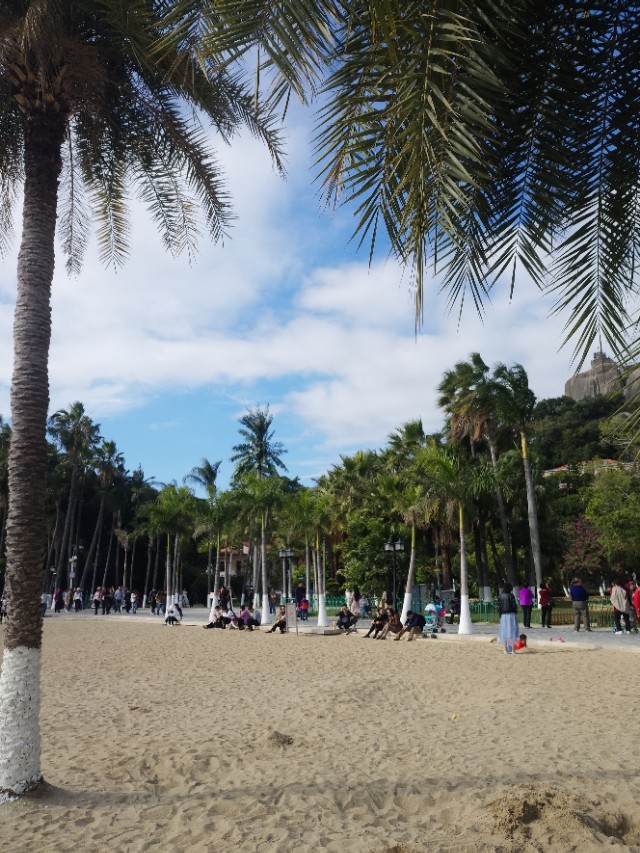 厦门人穿拖鞋短袖,厦门人冬天的穿着