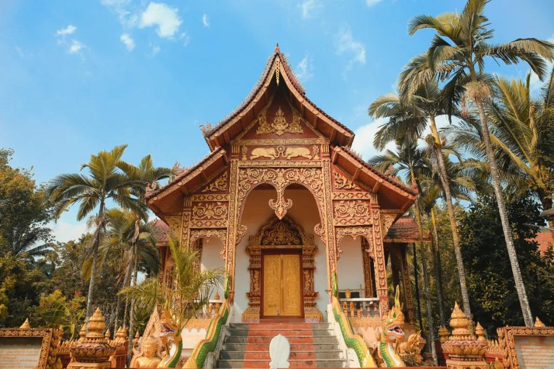 泰国西双版纳旅行,西双版纳基诺山热带雨林徒步