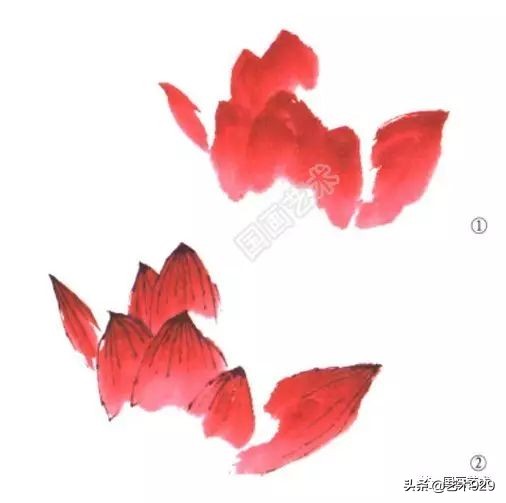 荷花的画法和步骤图解,最简单的荷花画法一学就会