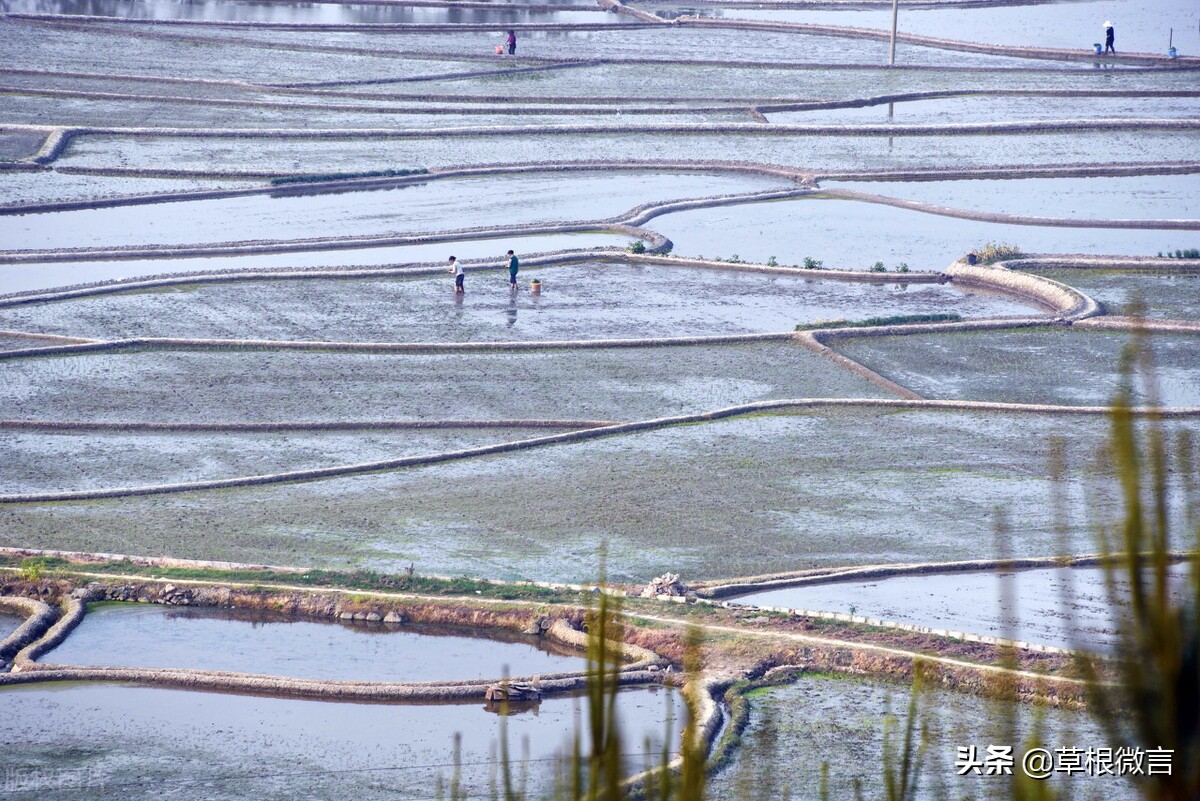 谷雨平水韵歌曲,五绝晨雨平水韵