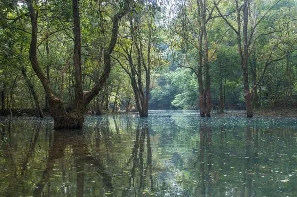 黄果树荔波小七孔苗寨镇远两日游,千户苗寨梵净山黄果树三日游