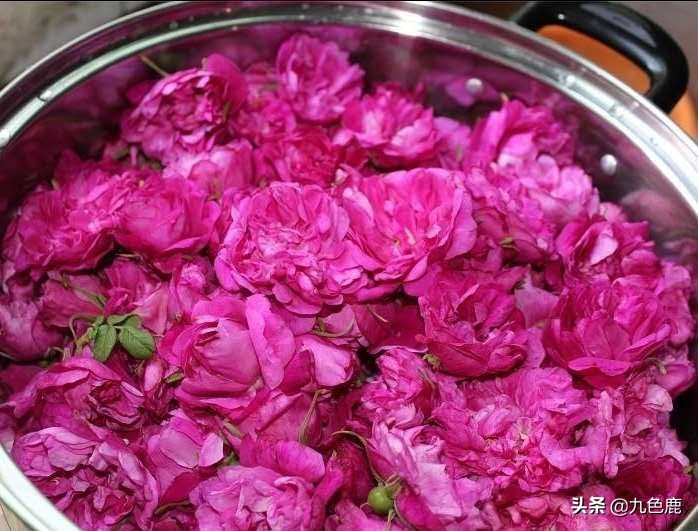 百花的功效与作用及食用方法,百花的功效和作用和食用方法