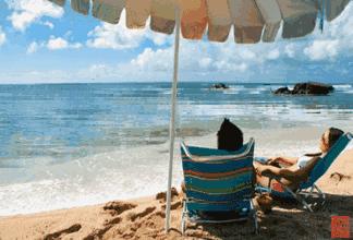 宫崎骏涂鸦墙青岛,青岛宫崎骏漫画网红墙