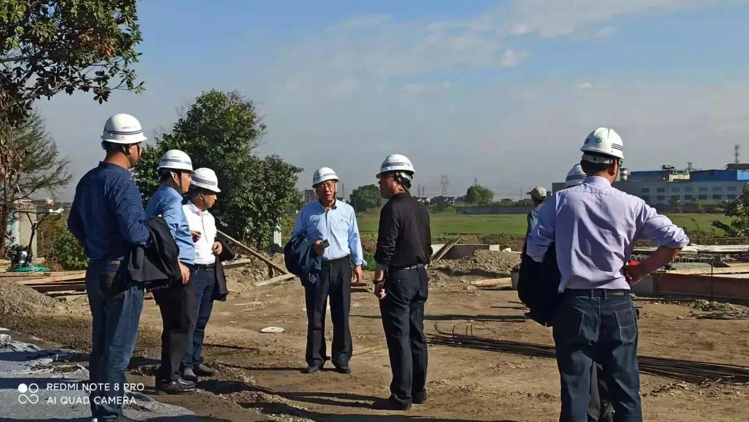 戴南镇2022年有哪些重大项目开工,戴南迎宾大道改造