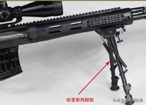 ssg08狙击步枪结构,nsg-85式狙击步枪