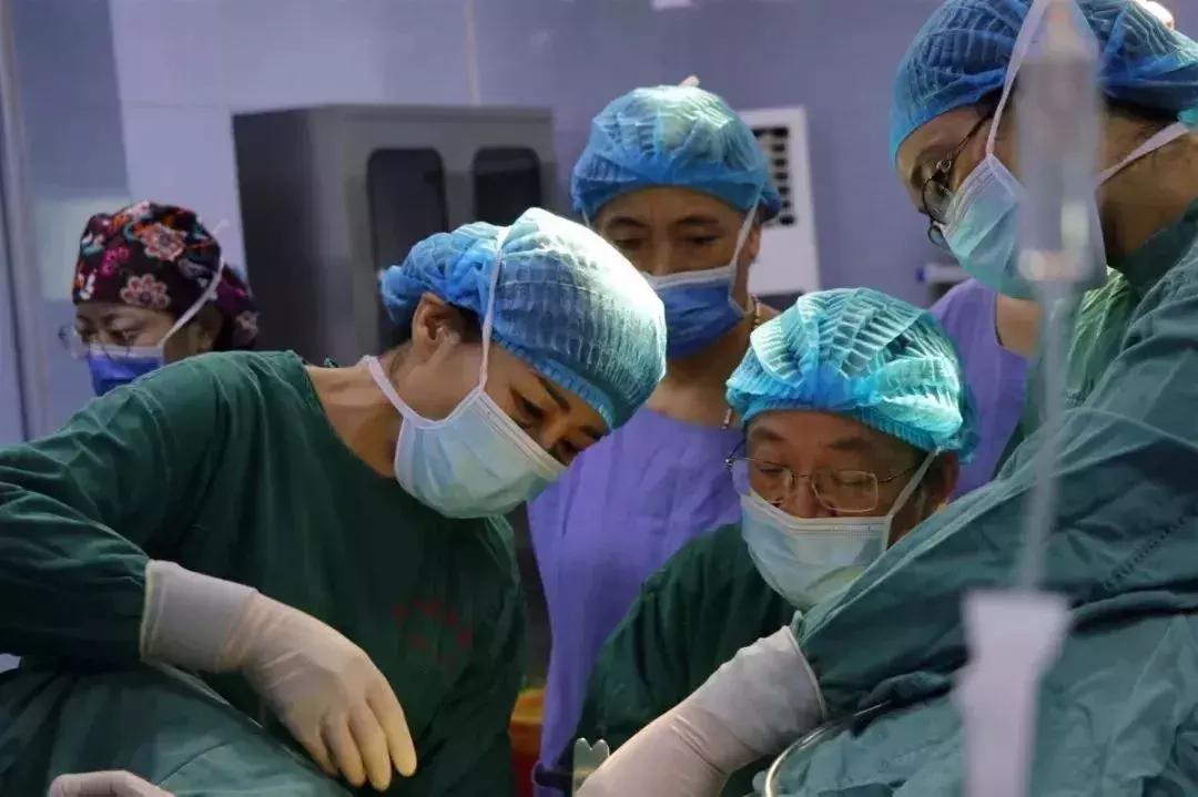 童教授最新视频,不一样的专家教授