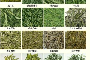 各种名茶样品,各种名茶及图片