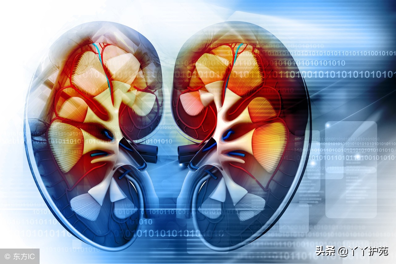 糖尿病肾病的8种联合用药方案