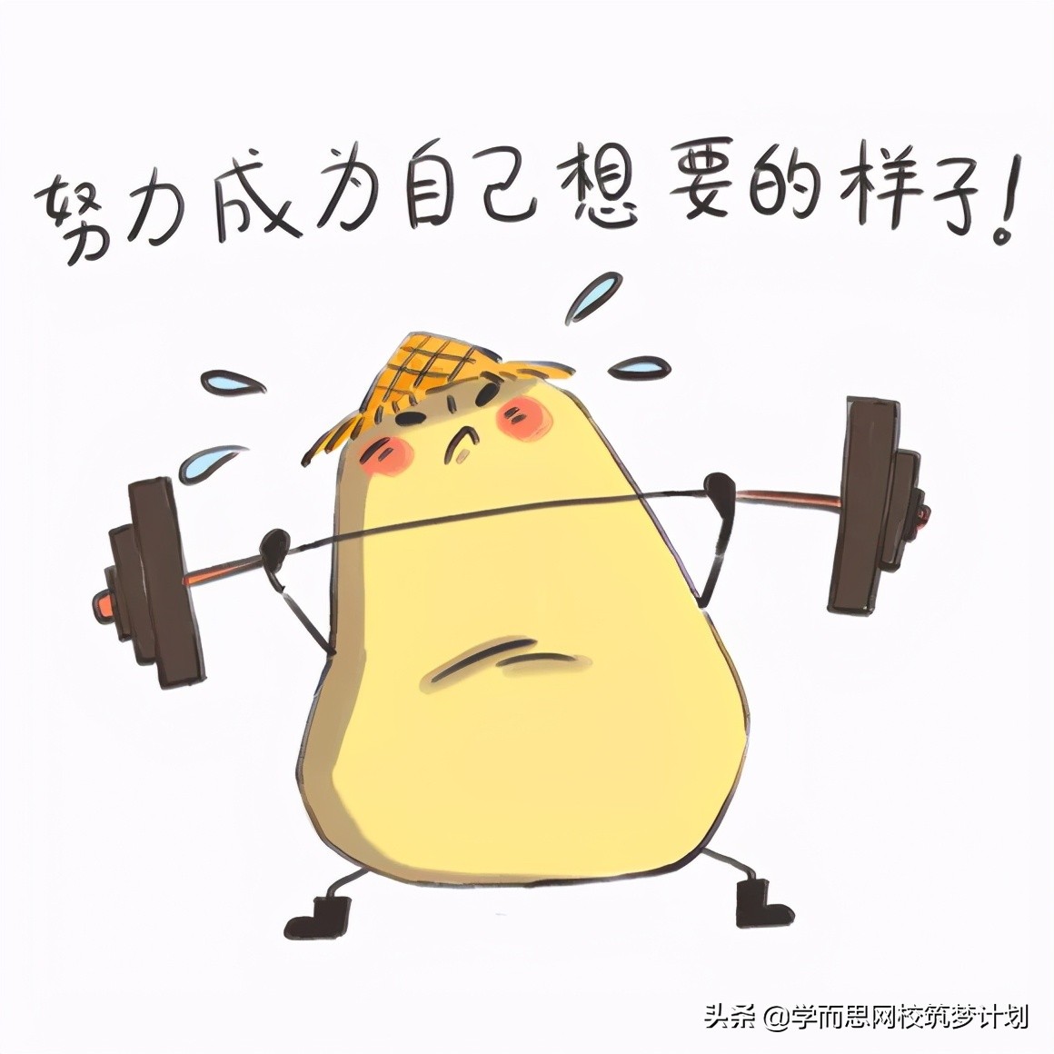 数竞该不该学？怎么学？国集学长做了这些总结，含书单推荐