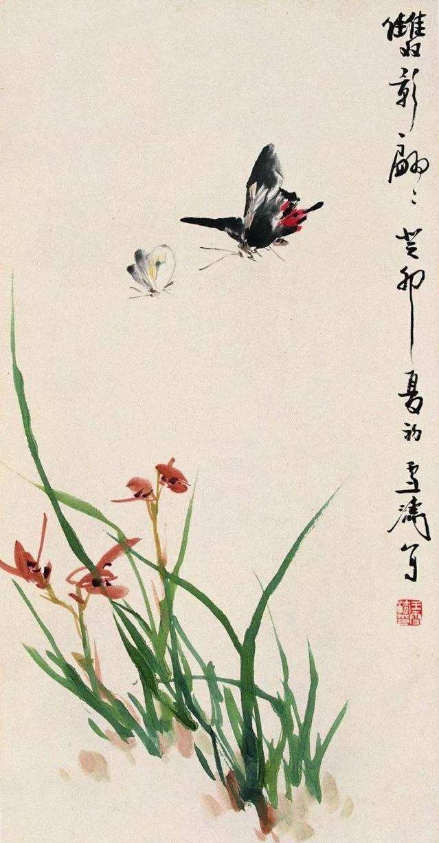 淡彩兰花100幅,顶级淡彩兰花图片