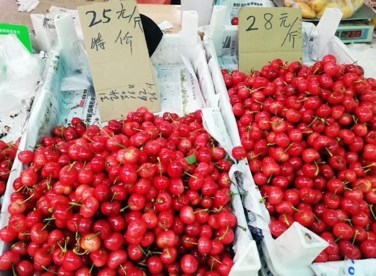 樱桃盐水泡出来的虫,樱桃里面有虫子用盐水泡多久