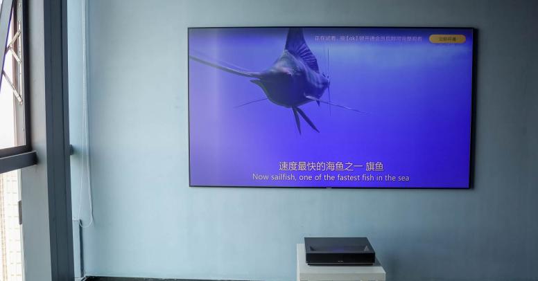 王思聪小米手机,王思聪手机小米