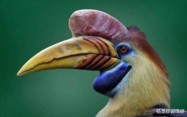 残忍!这9种带血文玩太血腥!碰了小心坐牢