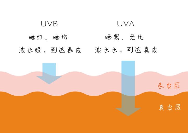 夏日防晒小方法,夏日防晒小妙招有哪些