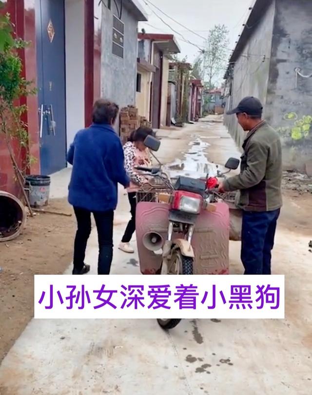 河南奶奶10元卖孙女养2年的狗,河南一奶奶10块卖狗奶奶后续