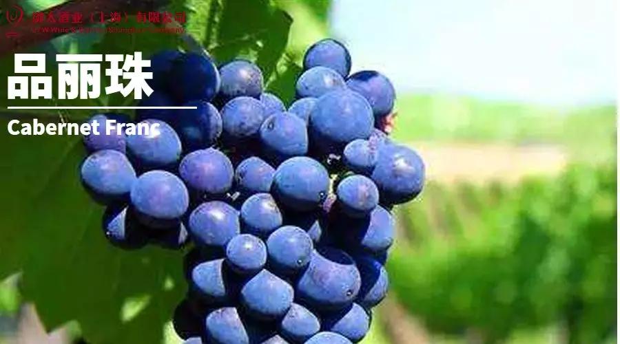 世界葡萄品种最甜十大排名榜,世界十大葡萄酒葡萄品种介绍