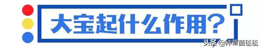 从小用到大的它,竟然成了今年爆款?