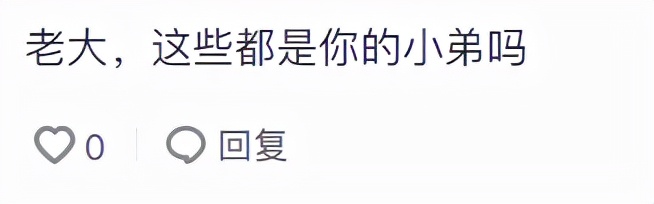 张耀扬乌鸦杀死小结巴,乌鸦张耀扬被打最惨的一次