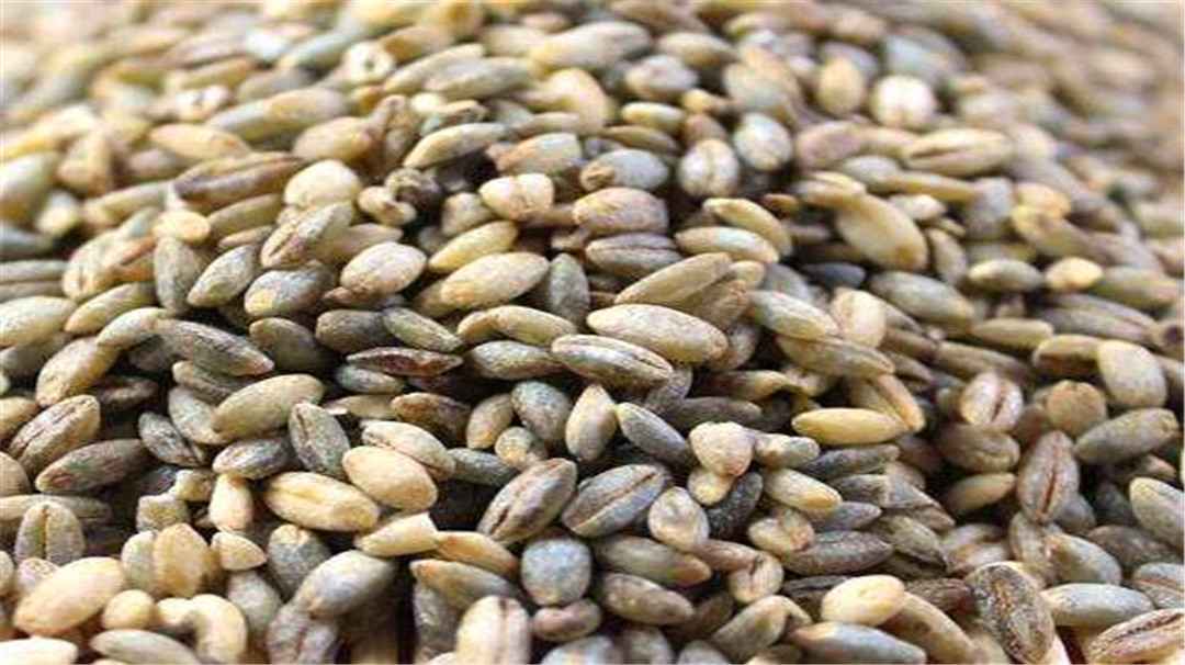 奶茶放什么配料最好吃,奶茶中的5种配料