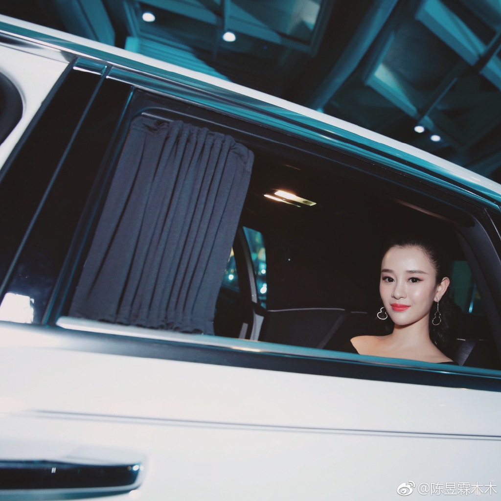 陈昱霖的奢侈品,陈昱霖同款珠宝包