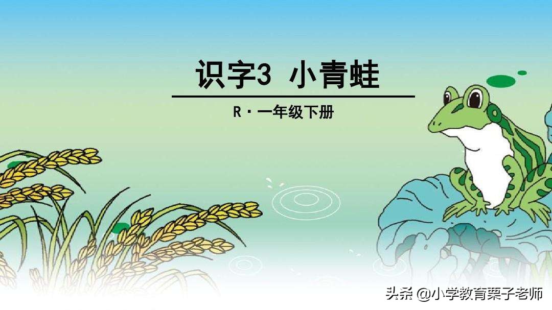 一年级下册识字三小青蛙公开课,部编版一年级语文下册小青蛙讲解