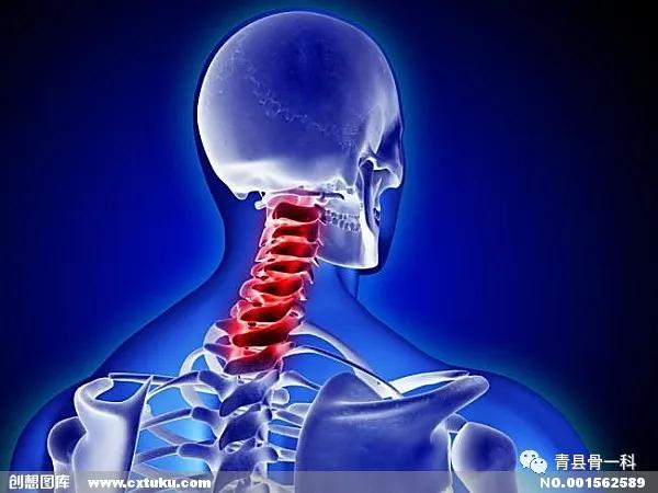 脊椎骨疼是怎么回事按摩按哪里,女性脊椎骨正中间疼