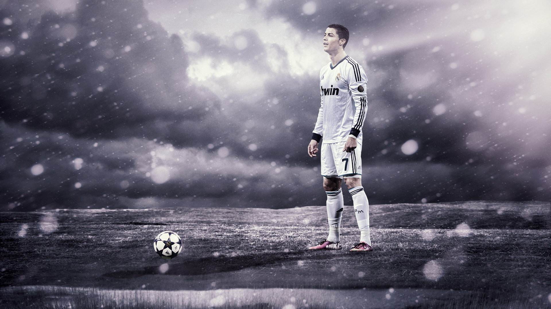 从基础到精通看股票走势,基础看盘