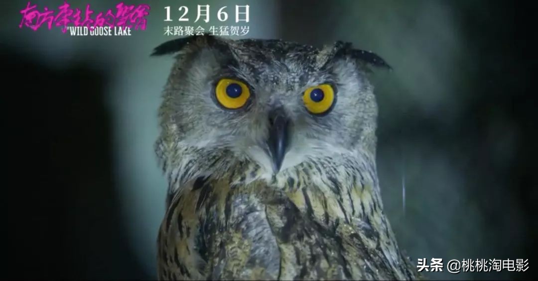 南方车站的聚会免费观看超清完整,胡歌电影南方车站的聚会完整版