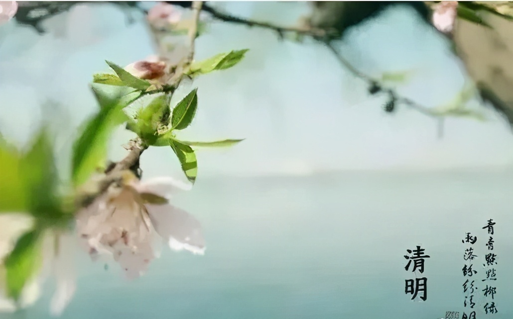 清明的雨散文名篇,清明的雨美文