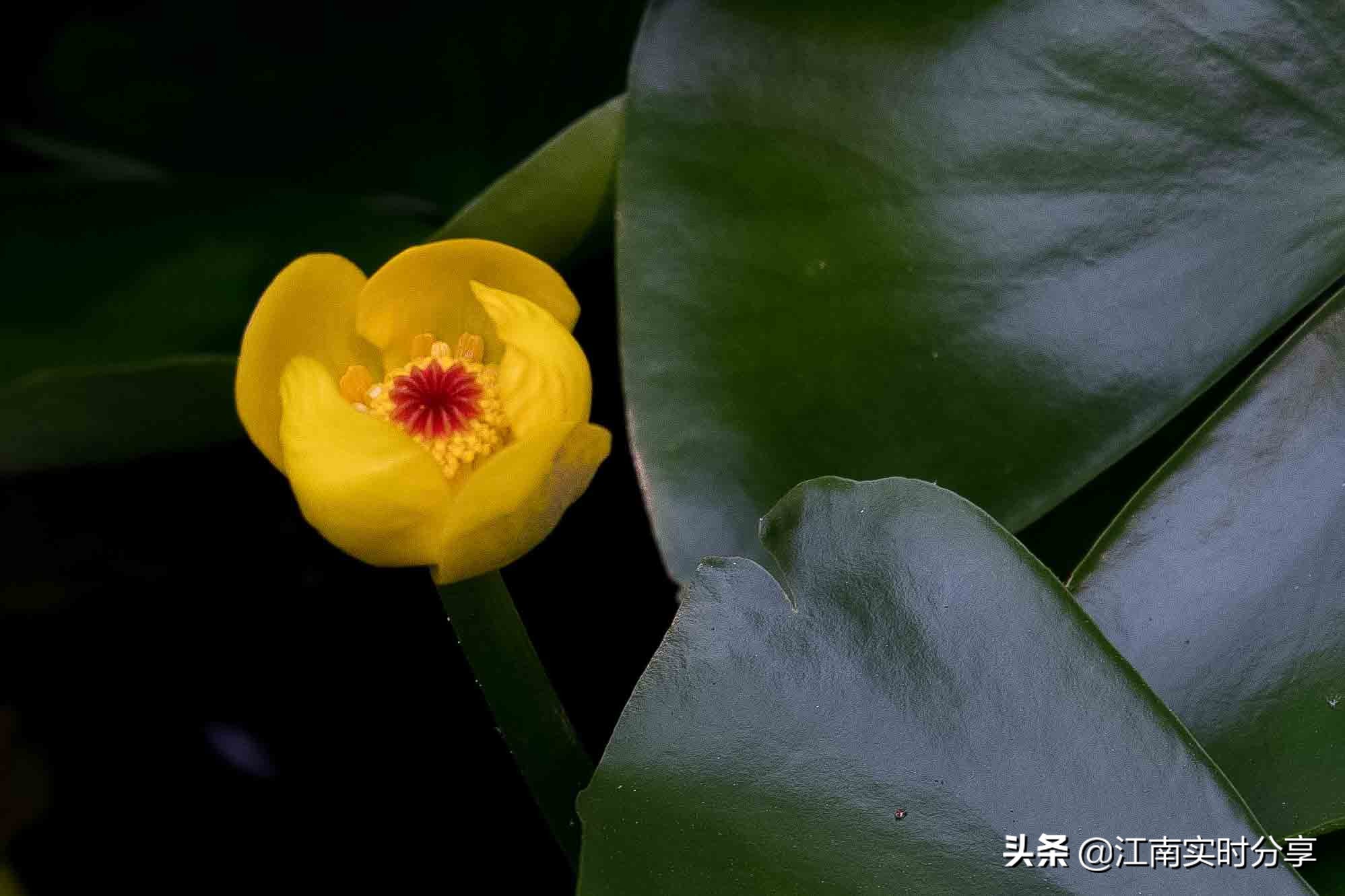 无锡自驾旅游景点推荐一日游攻略,无锡暑期旅游攻略