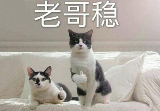 皓王/WHITOP电动牙刷,实力国货三年质保