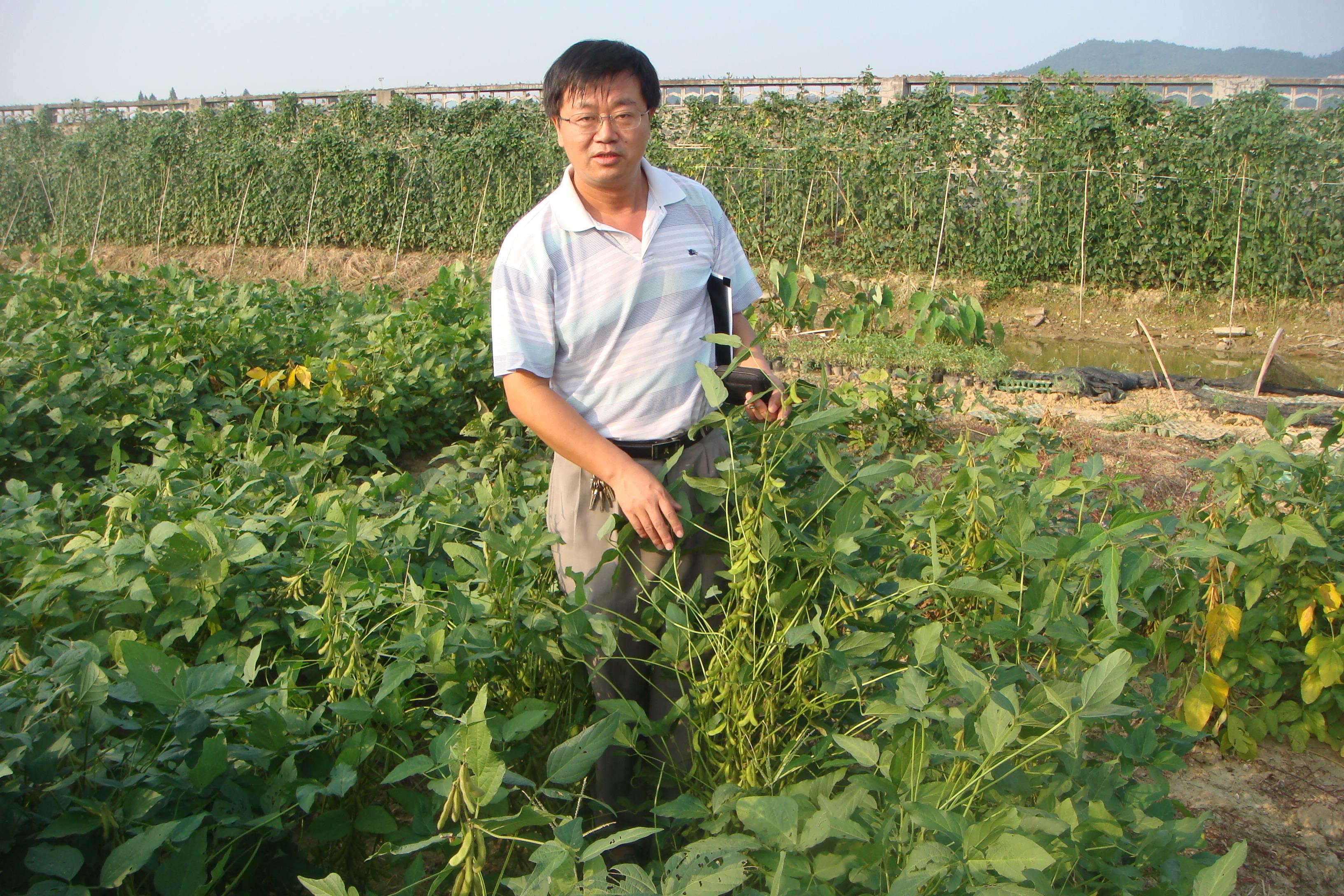 目前中国大豆最新行情,最新国产大豆行情走势