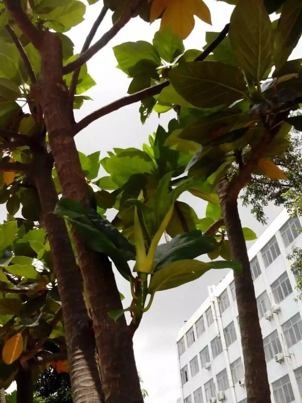 一个人在海边玩一天,一个人在海边怎么玩