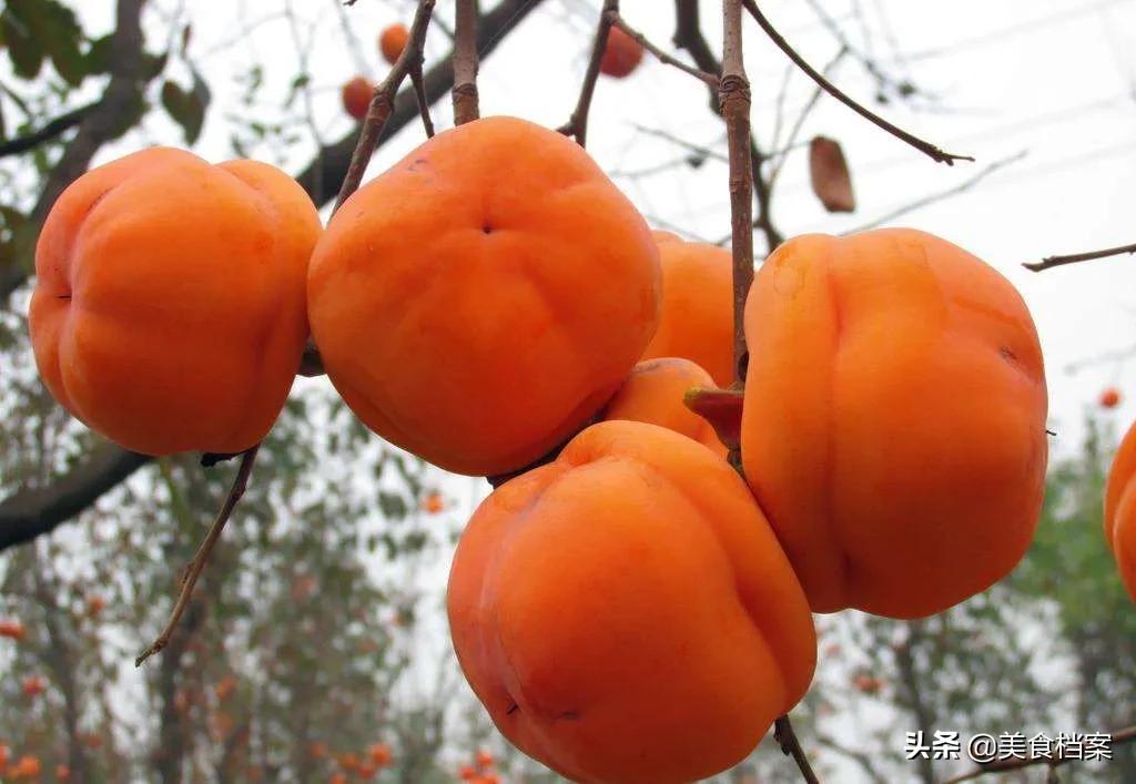 二氧化碳给柿子脱涩柿子会变黑吗,柿子去涩的几种方法