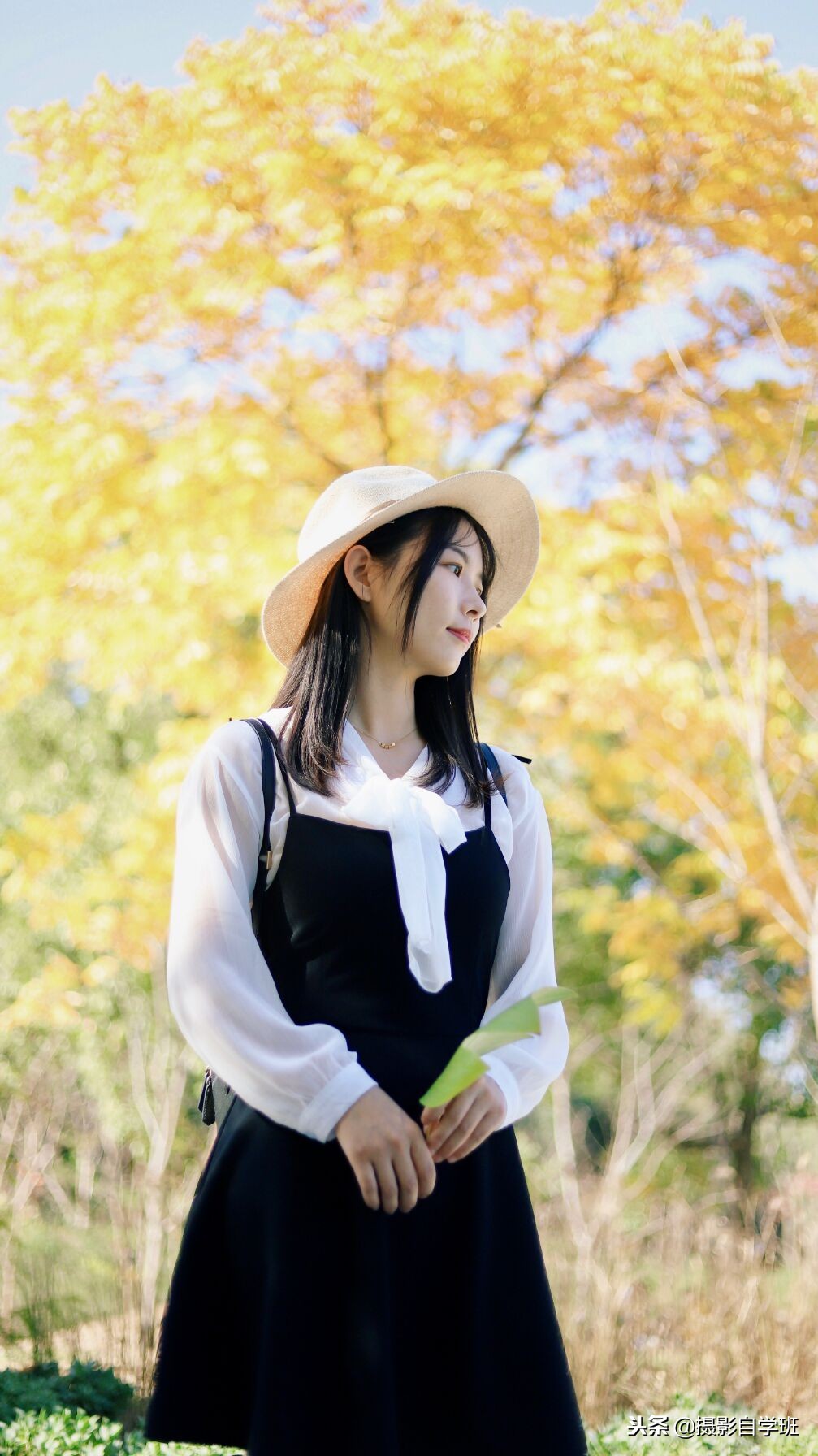 照片鲜艳度怎么调,照片鲜艳调色参数