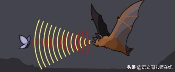 频率公式到底是什么？声音原来这样分类