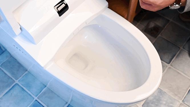 保卫菊花，从马桶做起——水鹿大鲸一体自动马桶使用感受